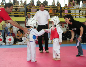 Artes marciales ante el TDHA Artes marciales ante el TDHA