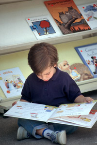 Lectoescritura: entender y amar lo que se lee Lectoescritura: entender y amar lo que se lee