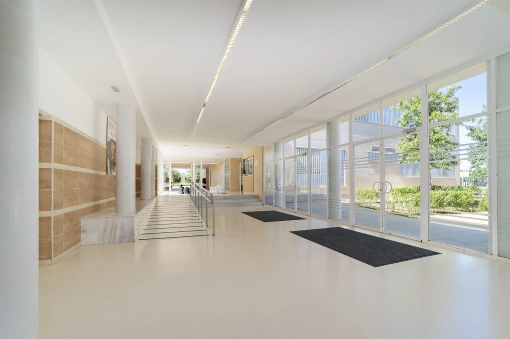 Colegio de Fomento Entreolivos: Colegio Privado en Dos Hermanas,Infantil,Primaria,Secundaria,Bachillerato,Inglés,Francés,Católico,