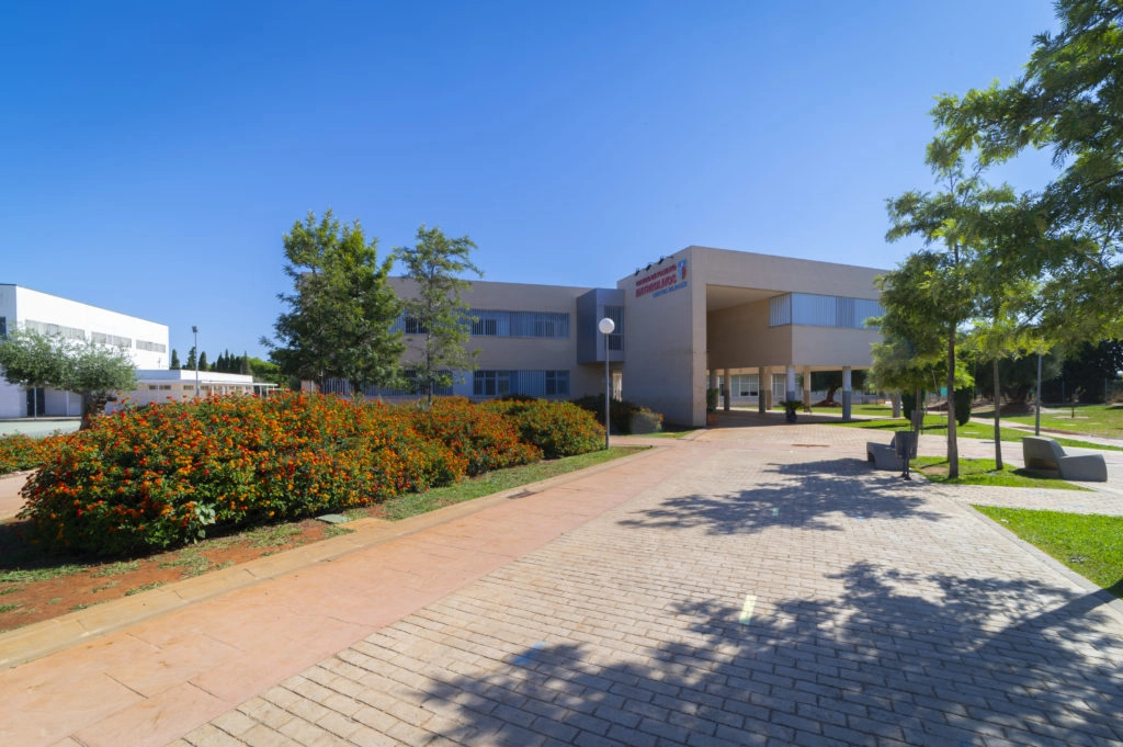 Colegio de Fomento Entreolivos: Colegio Privado en Dos Hermanas,Infantil,Primaria,Secundaria,Bachillerato,Inglés,Francés,Católico,