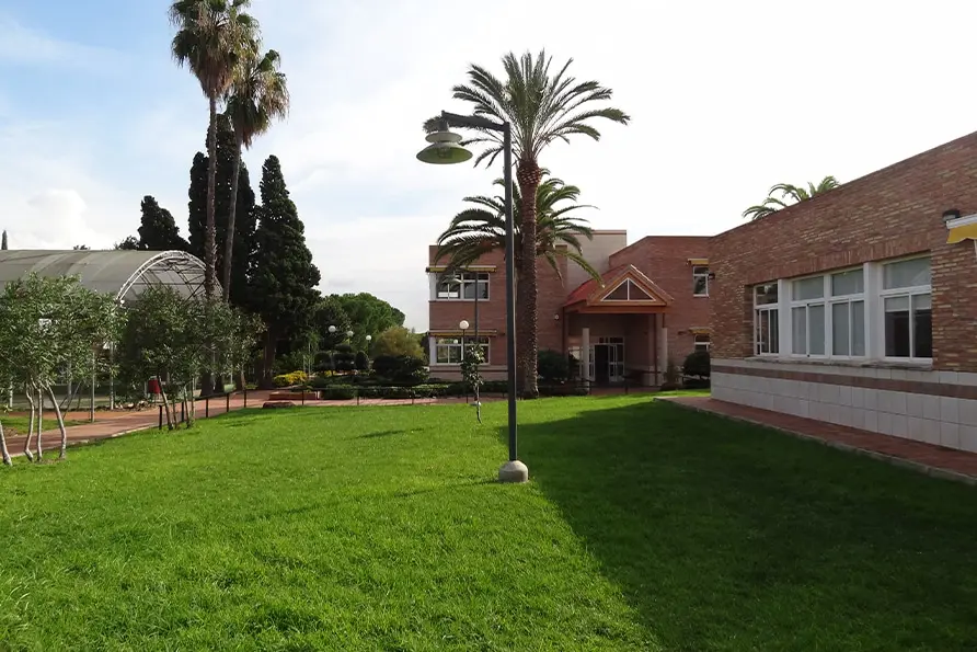 Colegio de Fomento Torrenova: Colegio Concertado en Betxí,Infantil,Primaria,Secundaria,Bachillerato,Inglés,Francés,Otros,Católico,Laico,