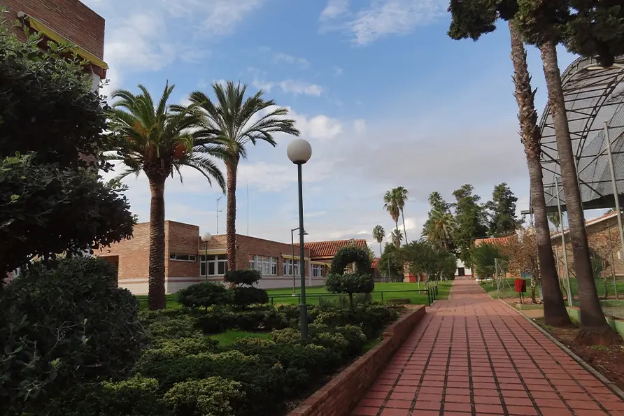 Colegio de Fomento Torrenova: Colegio Concertado en Betxí,Infantil,Primaria,Secundaria,Bachillerato,Inglés,Francés,Otros,Católico,Laico,