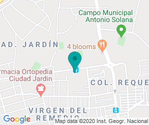 Localización de Instituto Virgen Del Remedio