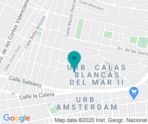 Localización de Colegio Maestro Salvador Ruso