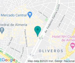 Localización de Instituto Celia Viñas