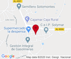 Localización de Colegio Internacional SEK Alborán