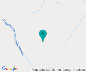 Localización de Colegio Guadiana