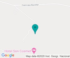 Localización de IES Damià Huguet