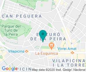 Localización de Colegio El Turó