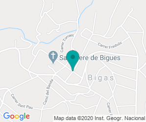 Localización de Colegio El Turó