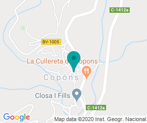 Localización de Colegio Copons - Zer Vent D