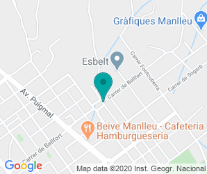 Localización de Colegio Puig - agut