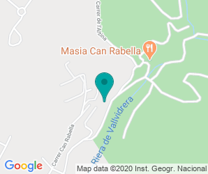 Localización de Instituto Lluís De Requesens