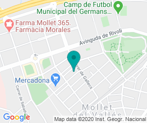 Localización de Colegio Can Vila