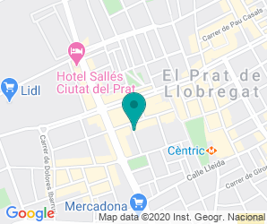 Localización de Instituto Baldiri Guilera