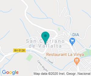 Localización de Colegio El Pi Gros