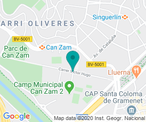 Localización de Instituto Puig Castellar