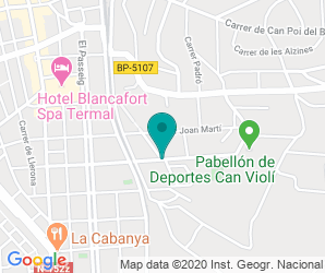 Localización de Instituto Manuel Blancafort