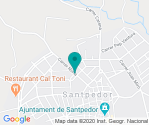 Localización de Colegio Puigberenguer