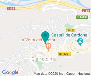 Localización de Instituto Sant Ramon