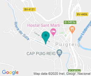 Localización de Instituto De Puig - reig