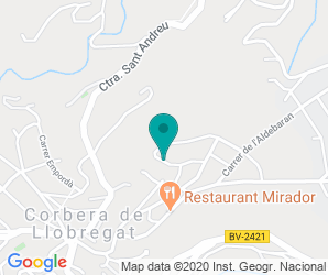 Localización de Colegio Puig D