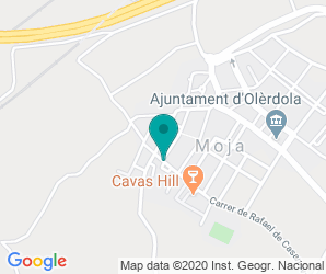 Localización de Colegio Els Pins