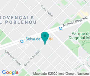 Localización de Colegio Fluvià