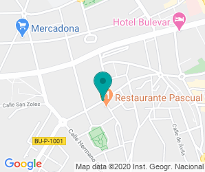 Localización de Instituto Diego De Siloe