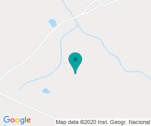 Localización de Instituto Turgalium