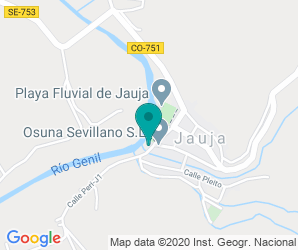 Localización de Colegio Genil