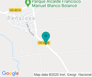 Localización de Instituto Colonial