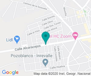 Localización de Instituto Ricardo Delgado Vizcaíno