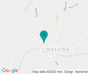 Localización de Colegio De Netoma - razo