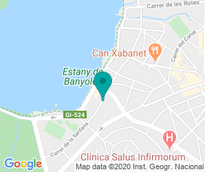 Localización de Instituto Pere Alsius I Torrent