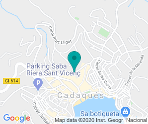 Localización de Colegio Caritat Serinyana