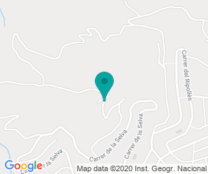 Localización de Instituto Puig Cargol