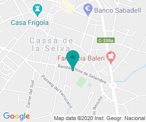 Localización de Colegio Puig D