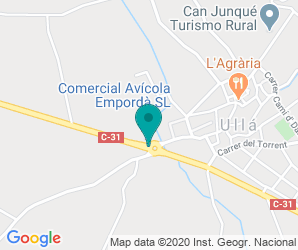 Localización de Colegio Puig Rodó - Zer Montgrí