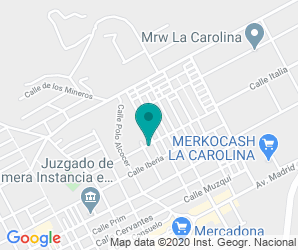 Localización de Colegio Palacios Rubio