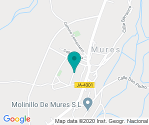 Localización de Colegio El Olivo