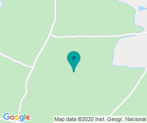 Localización de Colegio Colomina - Zer El Romaní