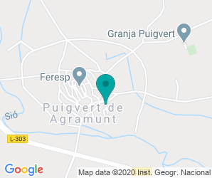 Localización de Colegio De Puigverd D