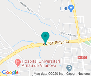 Localización de Colegio Pinyana