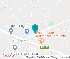 Localización de Colegio O Salvador