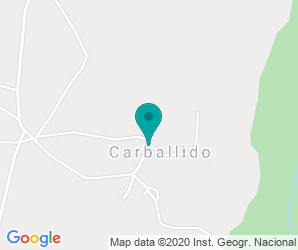 Localización de Colegio De Carballido