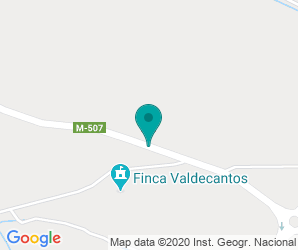 Localización de IES Carmen Martín Gaite