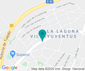 Localización de Colegio Los Lagos