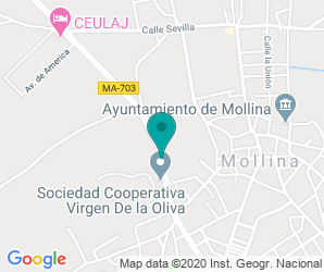 Localización de Instituto Las Viñas