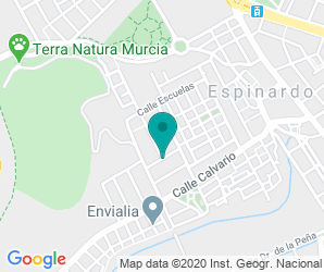 Localización de Colegio Salzillo